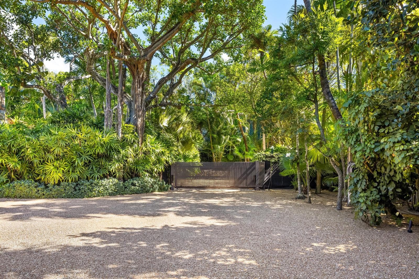 Driveway