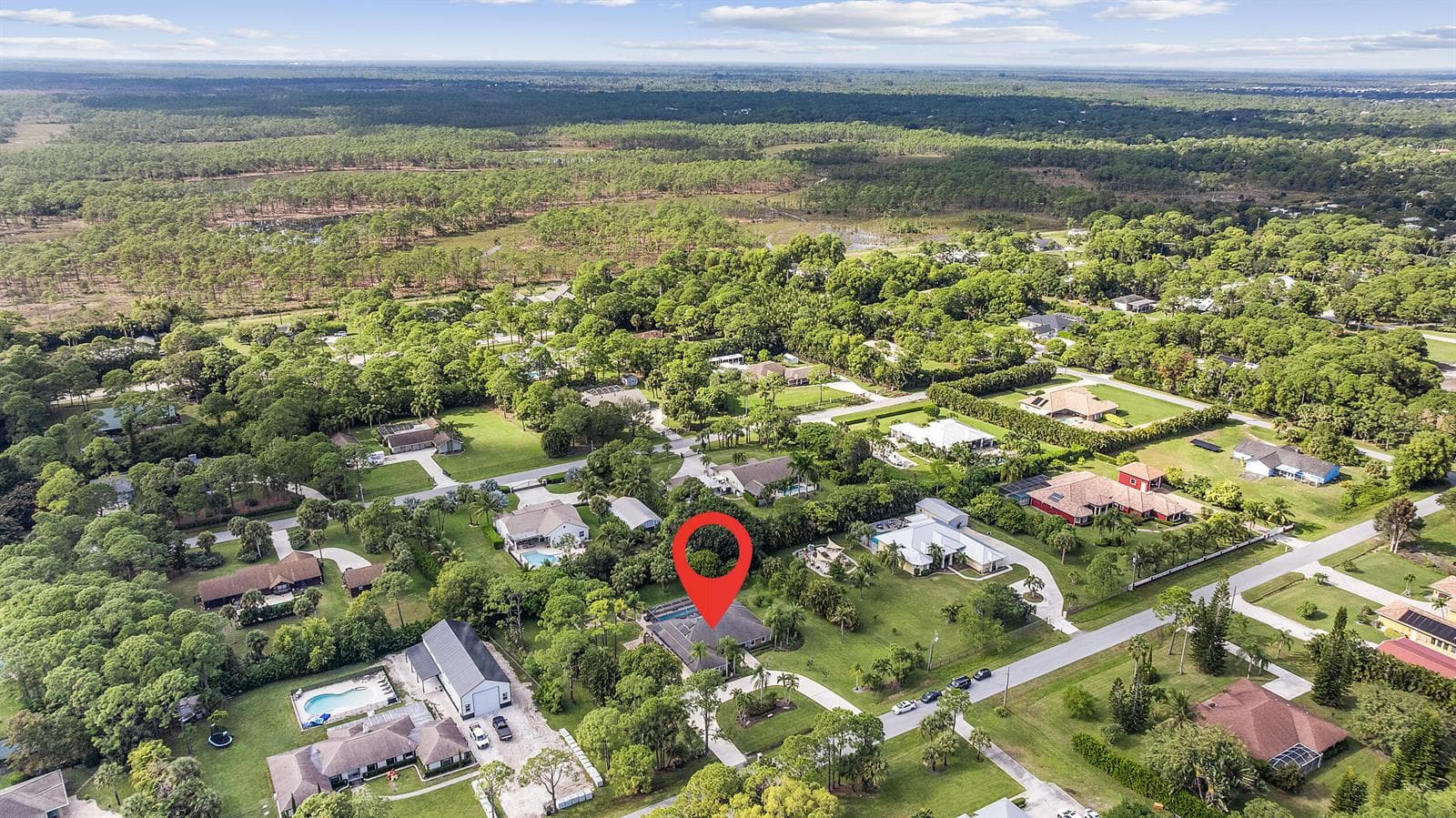 Aerial Shot