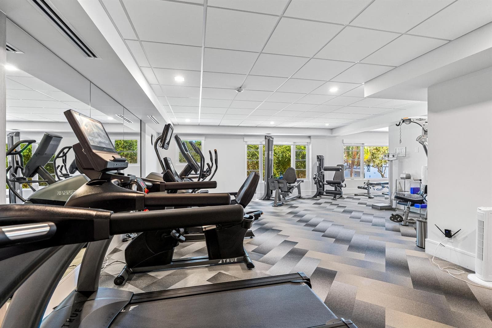 mls_GYM_DT