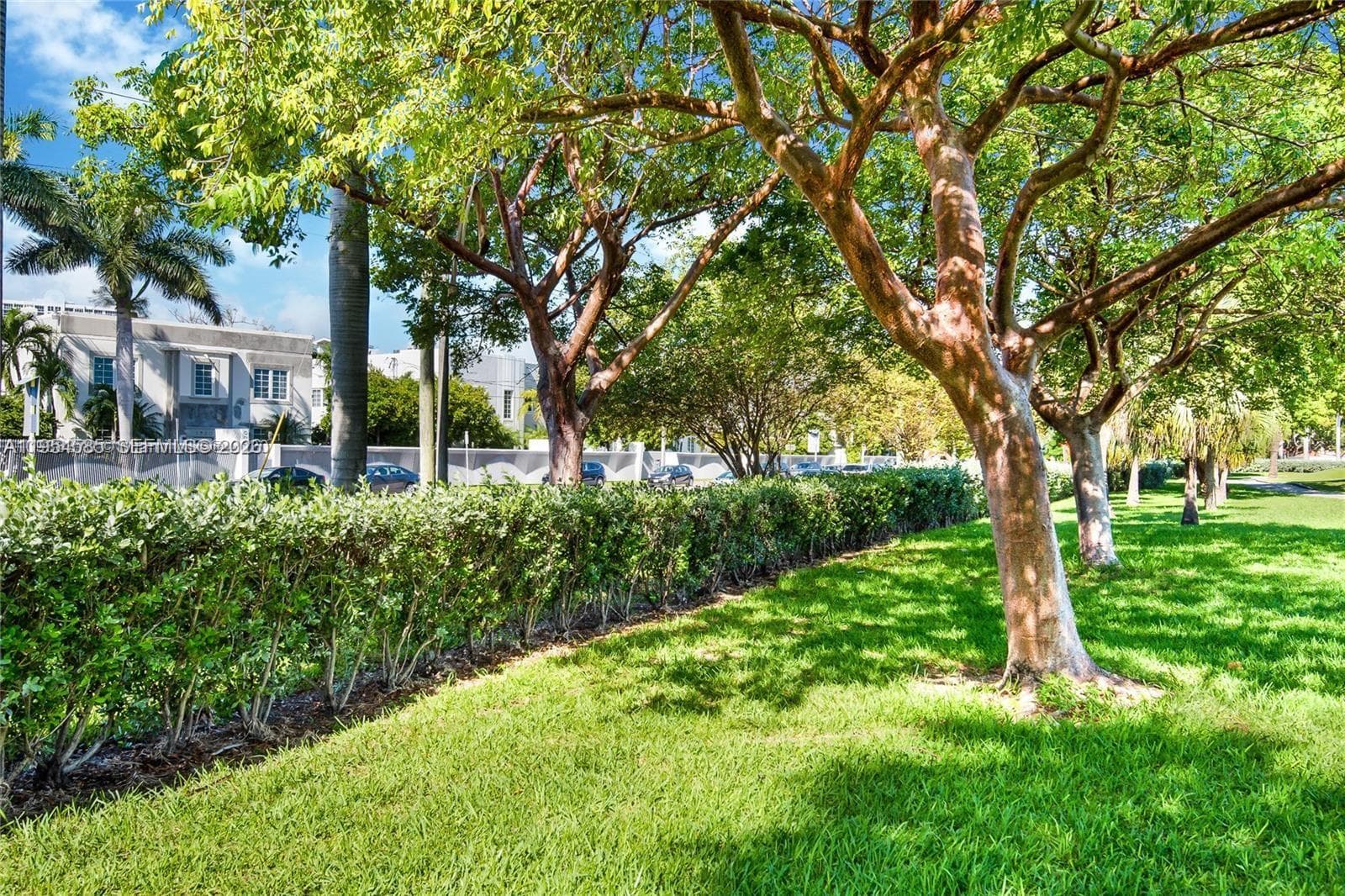 Alton Pointe · #10 in Miami Beach - Photo 14