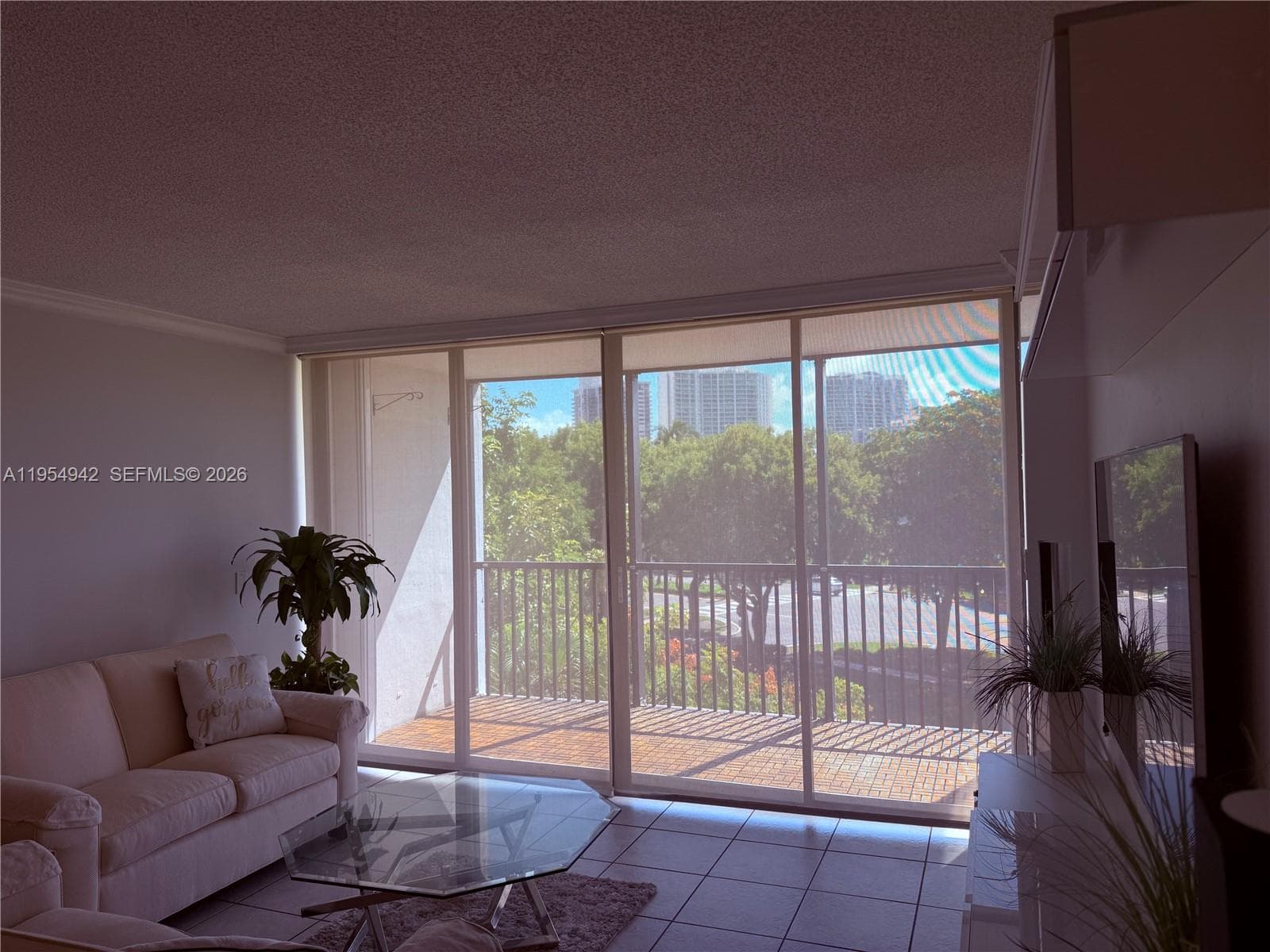 Ensenada · #409 in Aventura - Photo 5