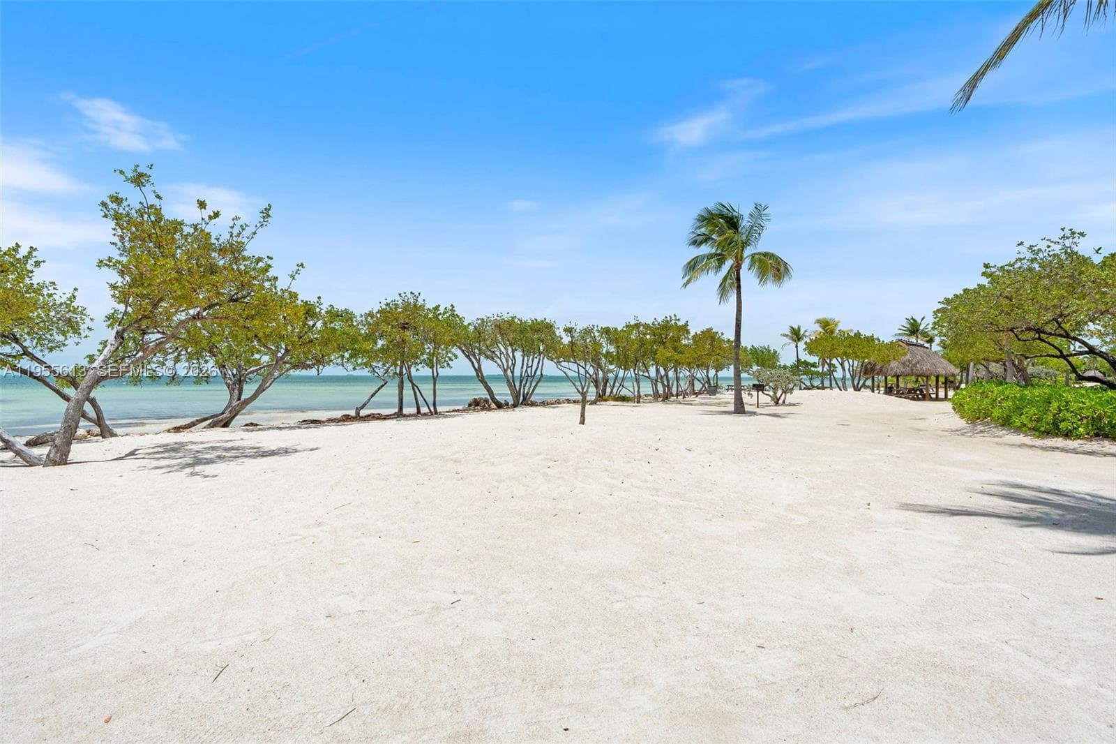 44 W Plaza Del Lago photo 71