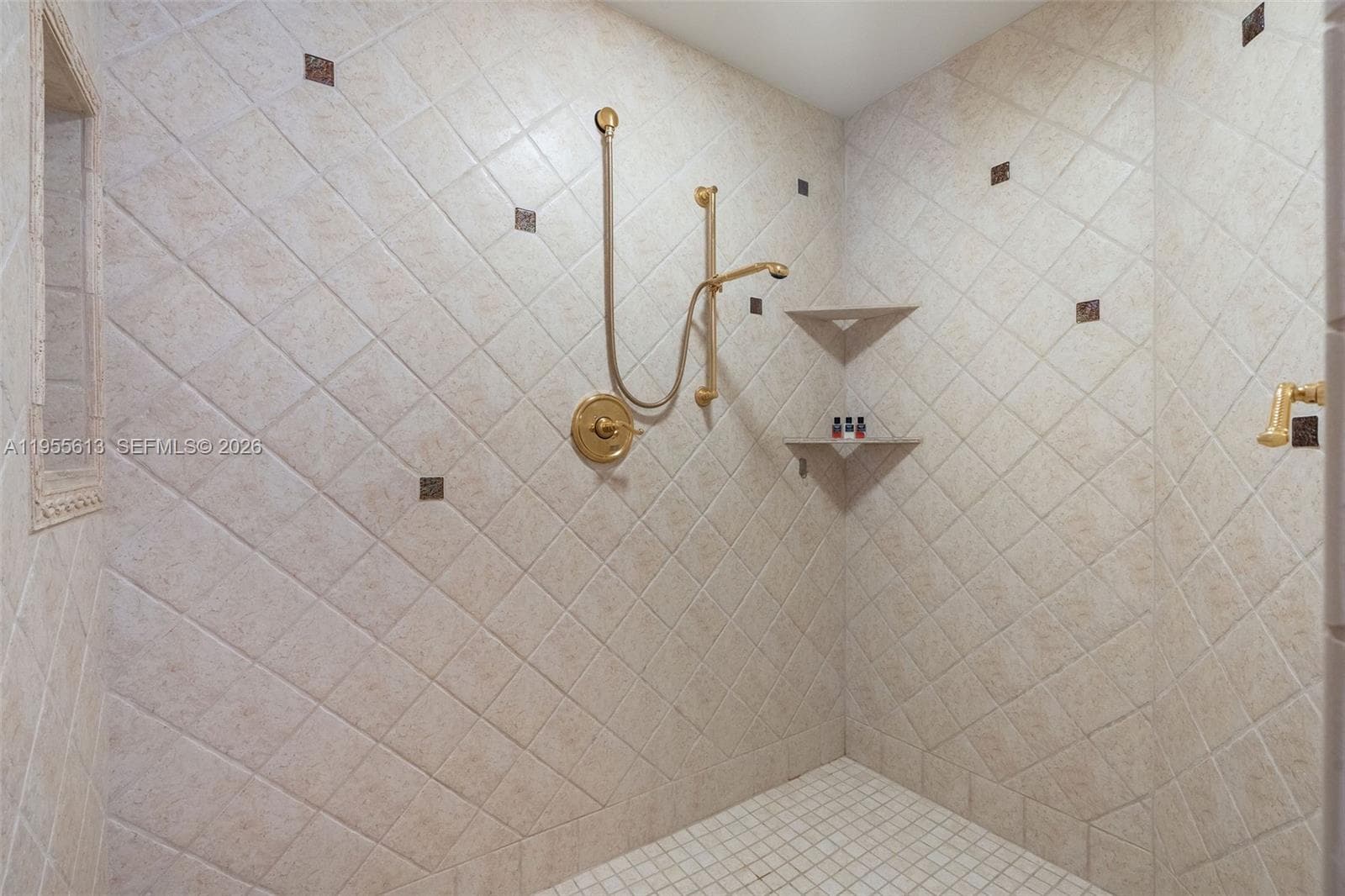 44 W Plaza Del Lago photo 28