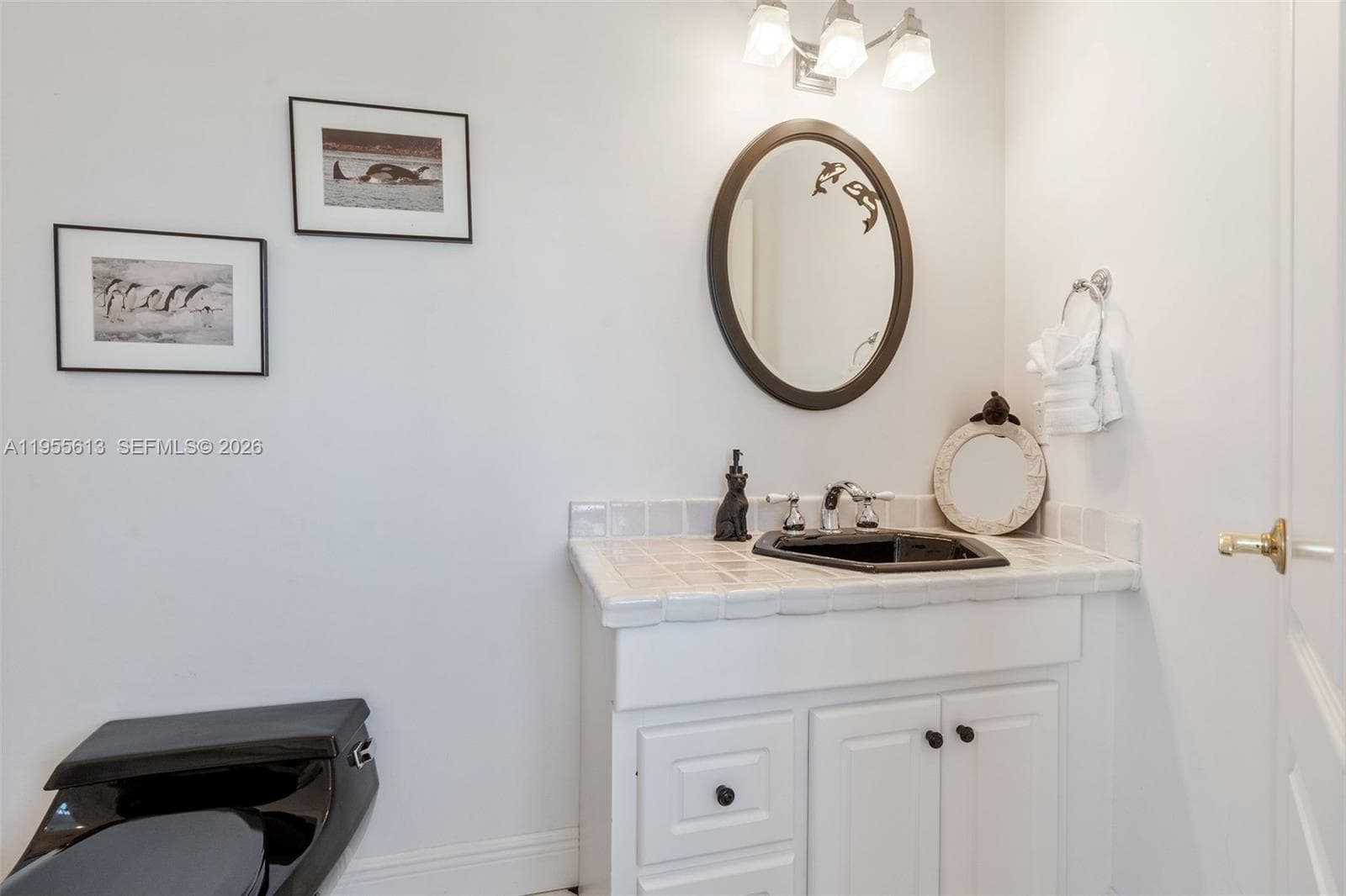 44 W Plaza Del Lago photo 44
