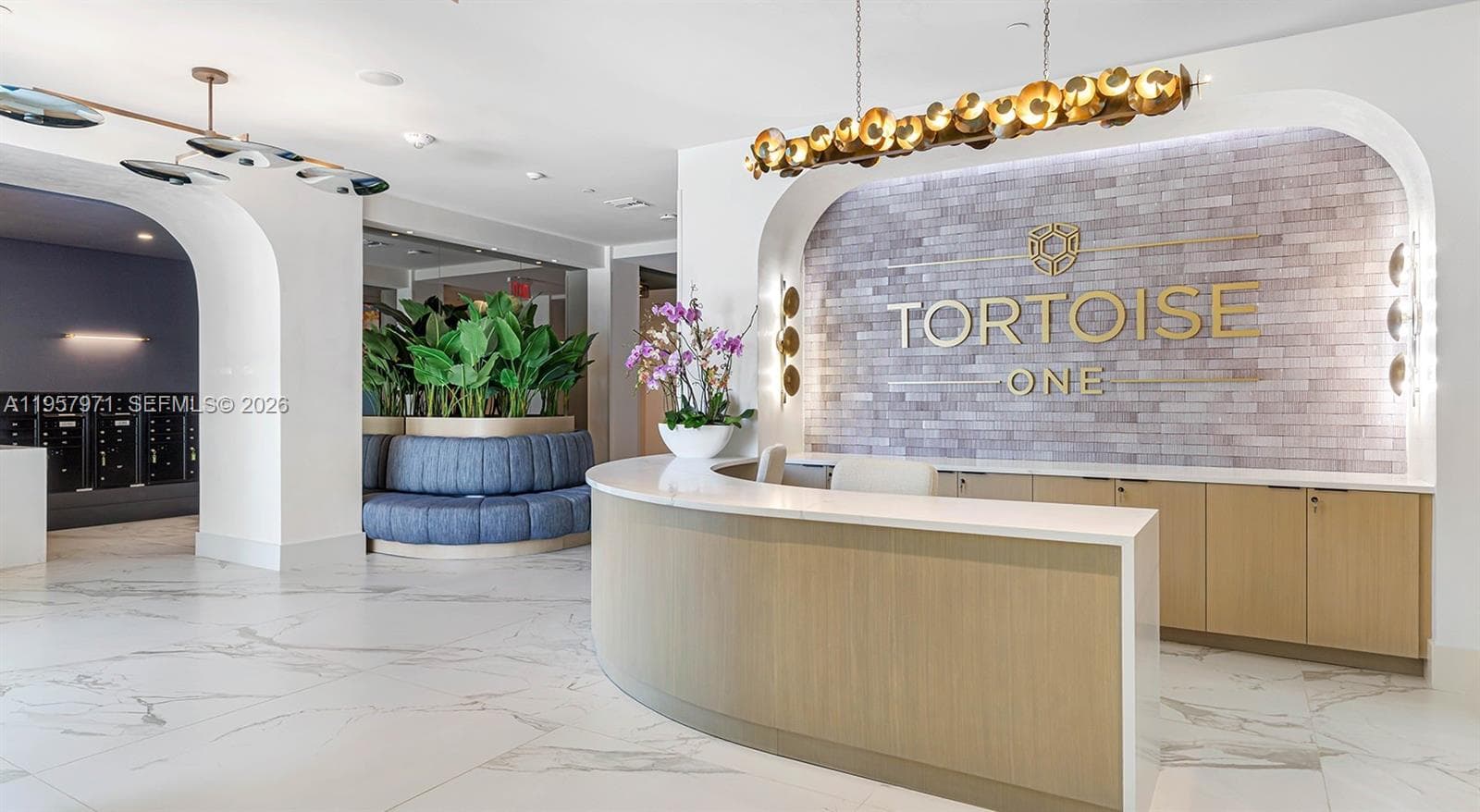 Tortoise One · #A2 in West Palm Beach - Photo 16