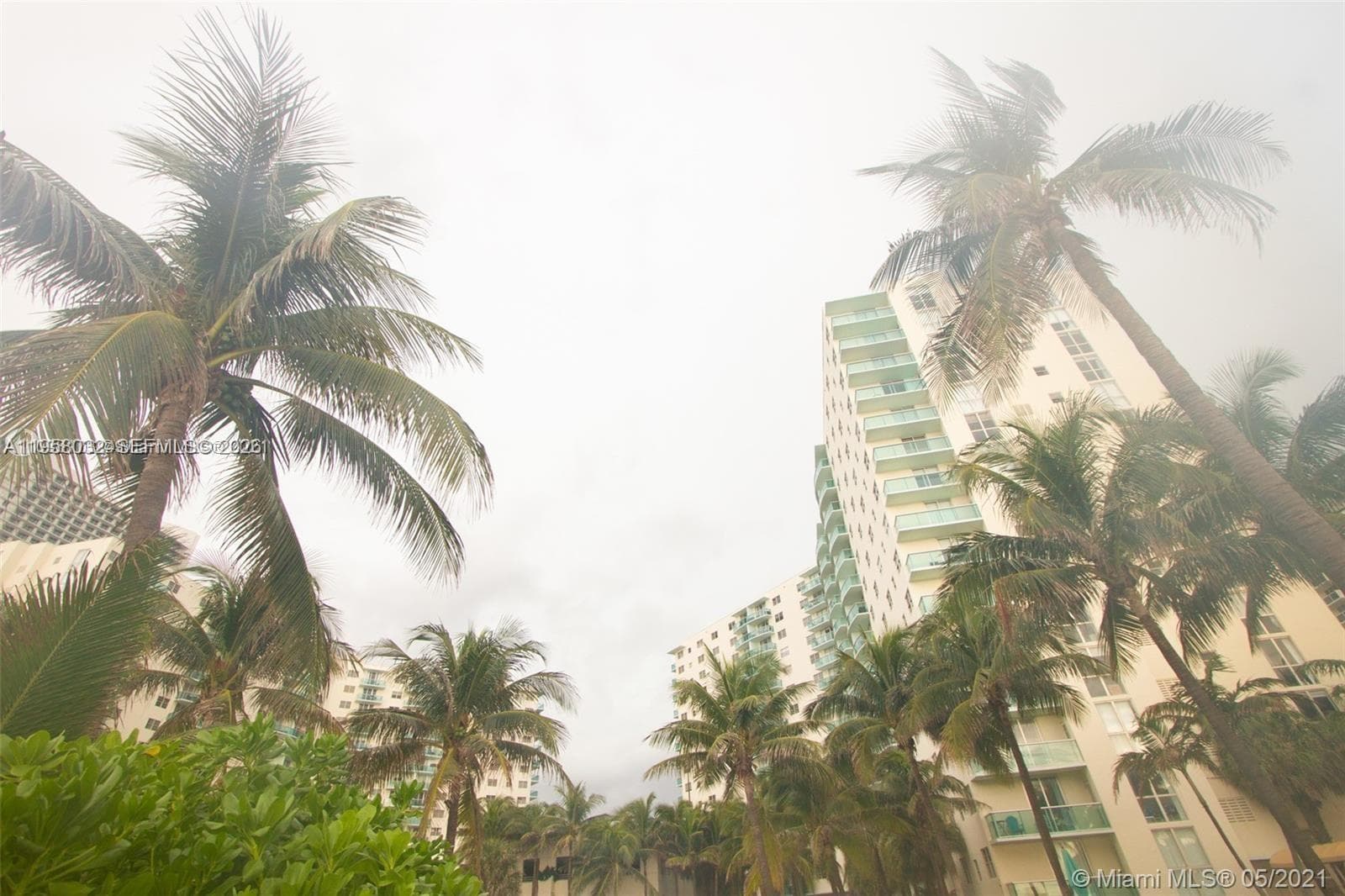 Tides on Hollywood Beach · #PH16S in Hollywood - Photo 30