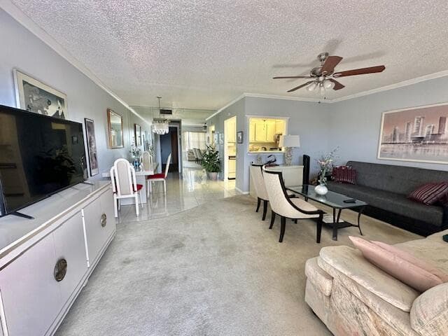 Living / Dining