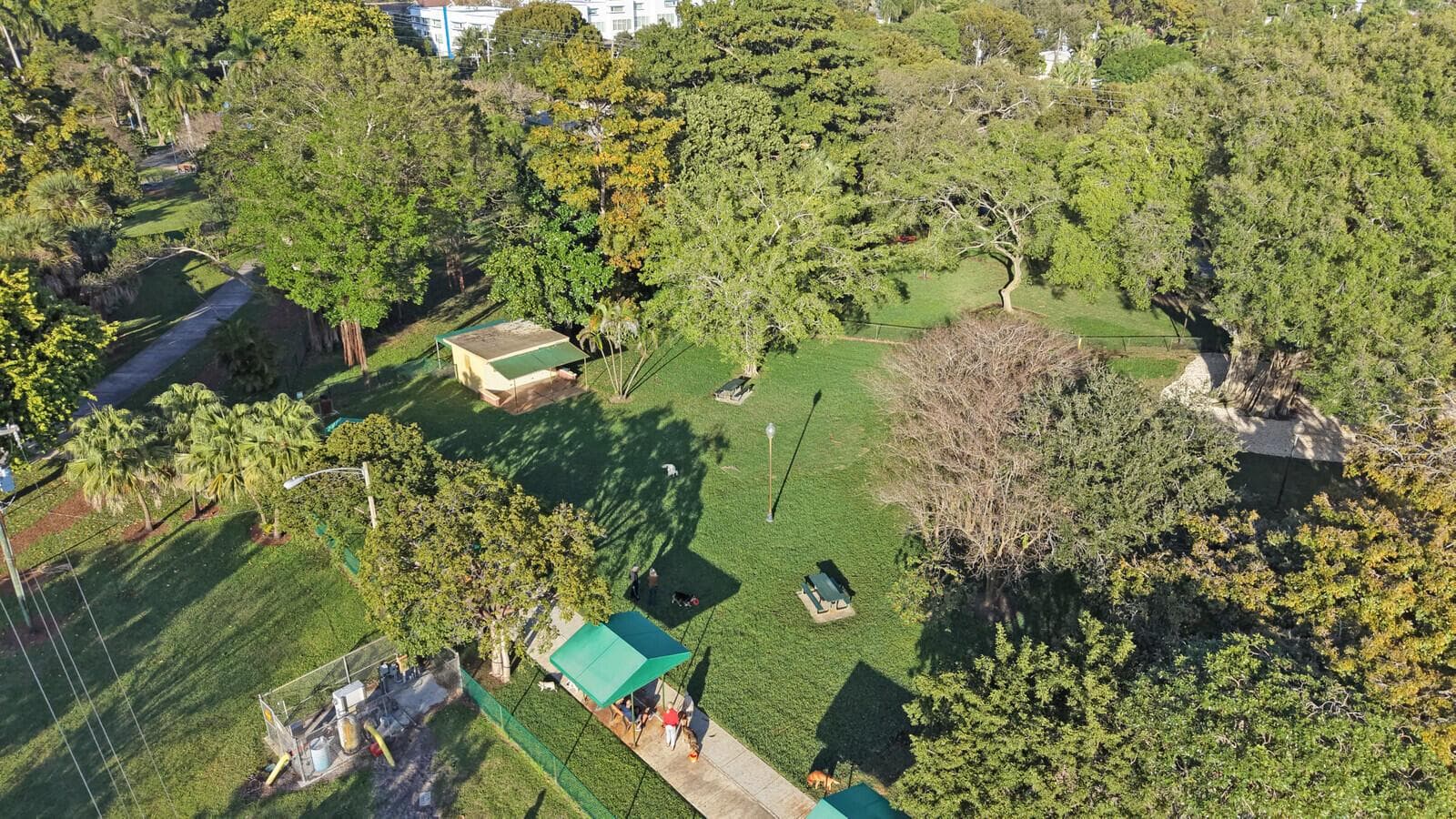 55_Aerial_12_mls