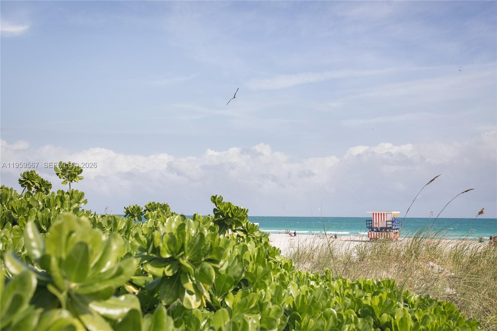 THE HABANA CONDO · #112 in Miami Beach - Photo 21