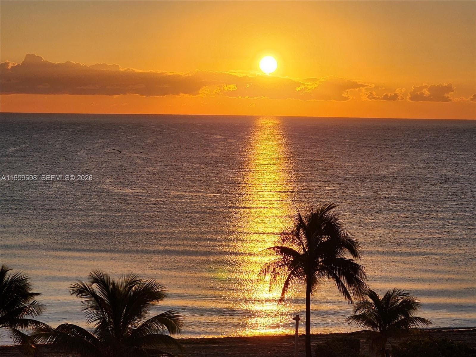 Parker Plaza Estates · #823 in Hallandale Beach - Photo 69