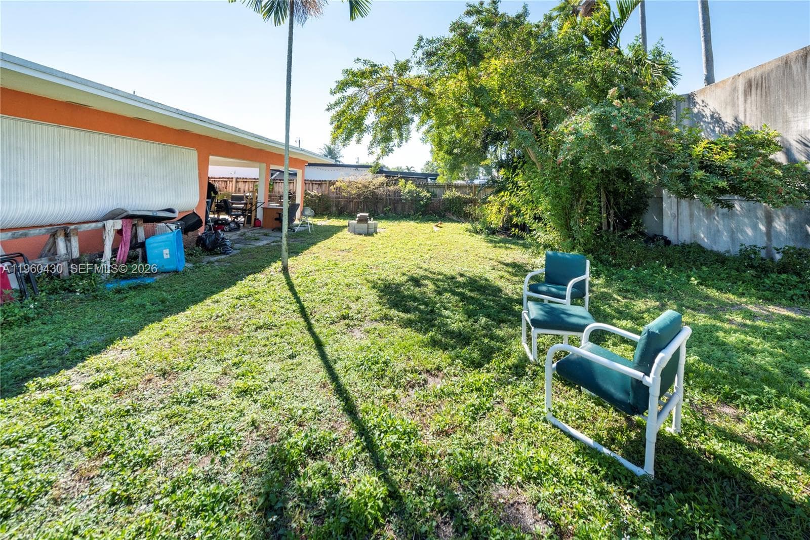 back yard