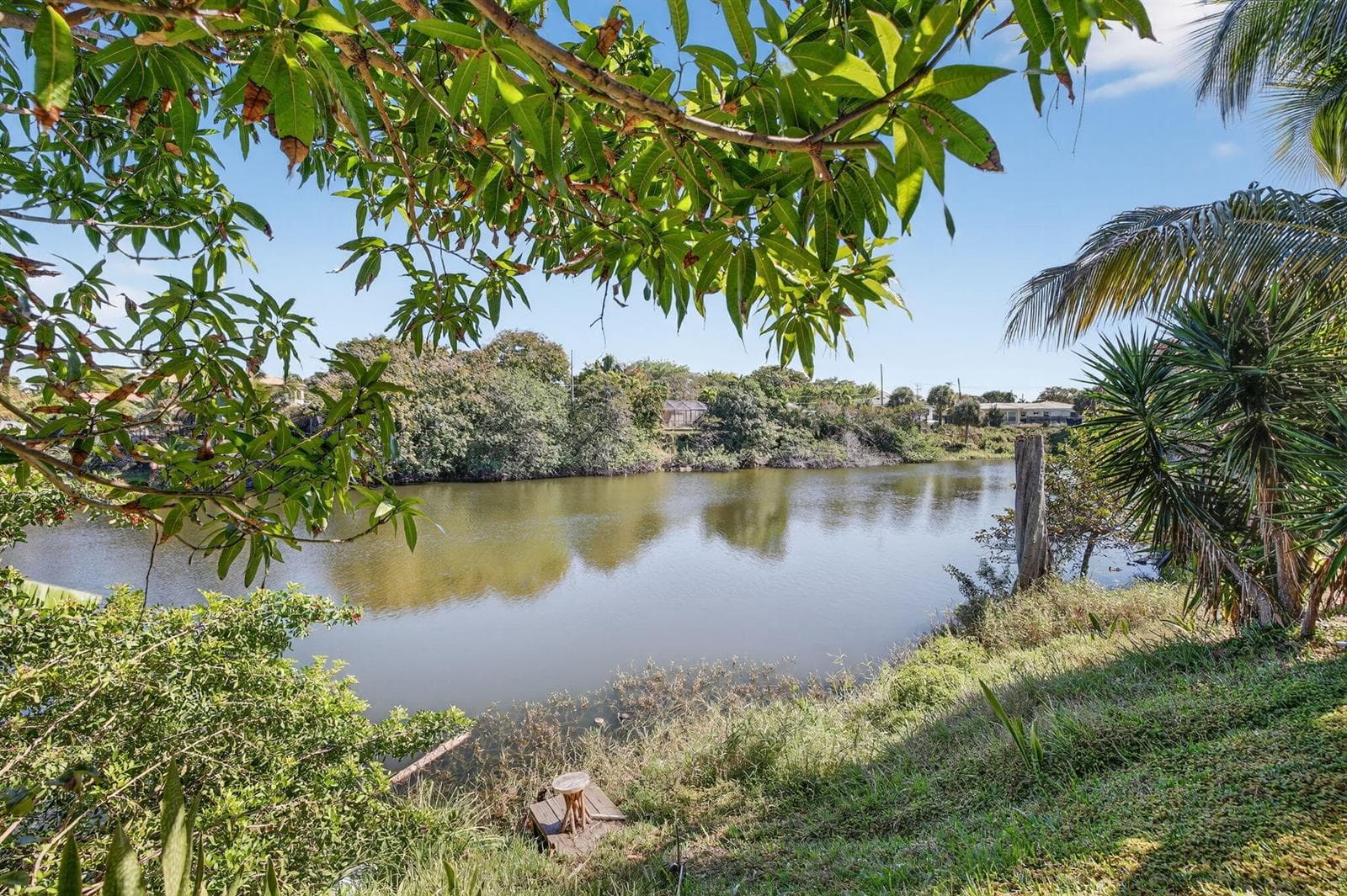 81-web-or-mls-A699A9664