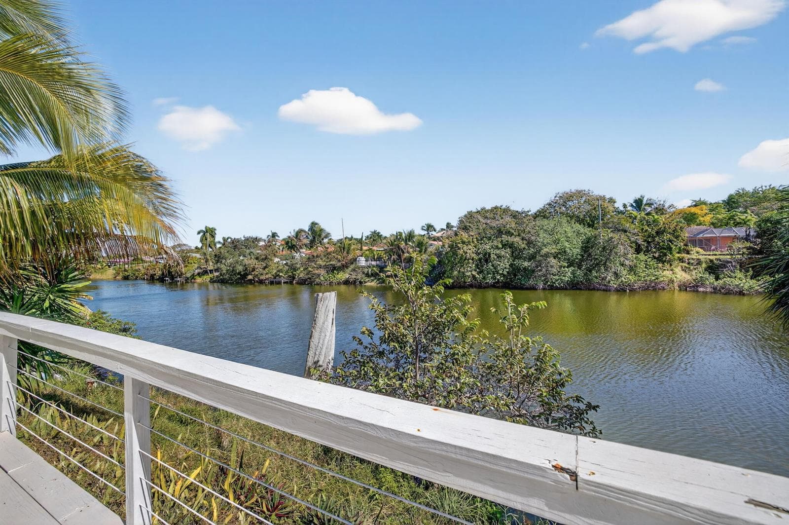 71-web-or-mls-A699A9579