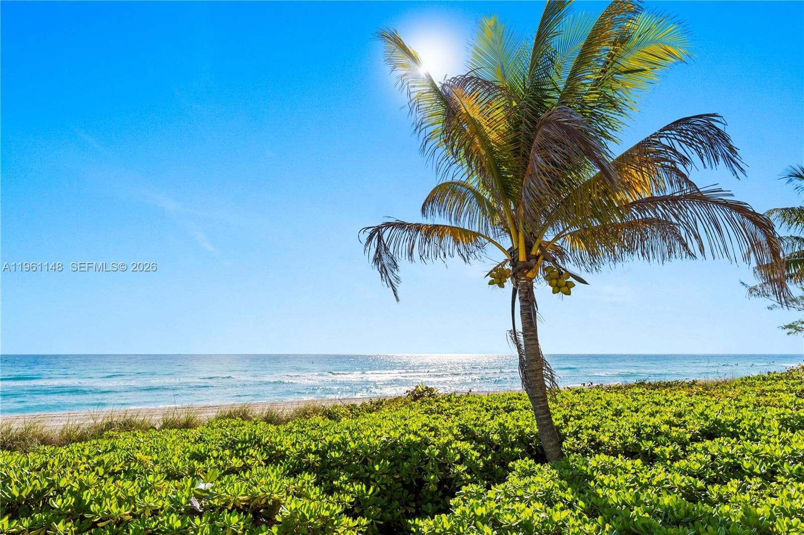 MALAGA TOWERS CONDO · #17D in Hallandale Beach - Photo 43