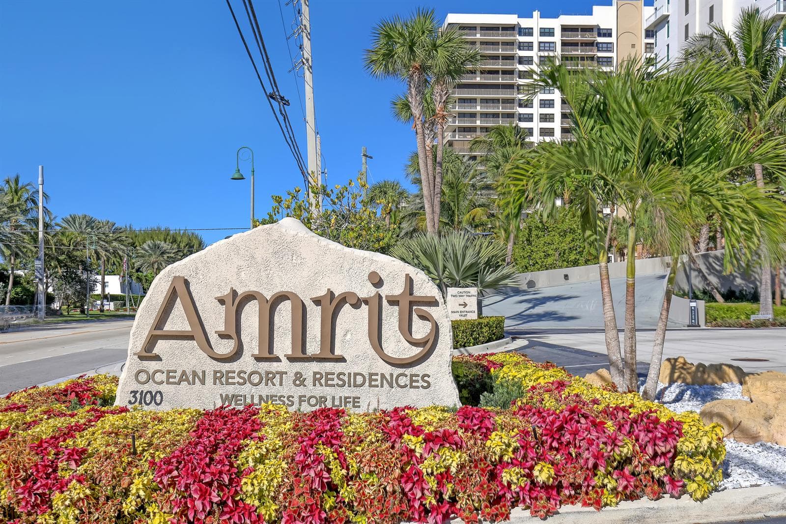 Amrits (6)