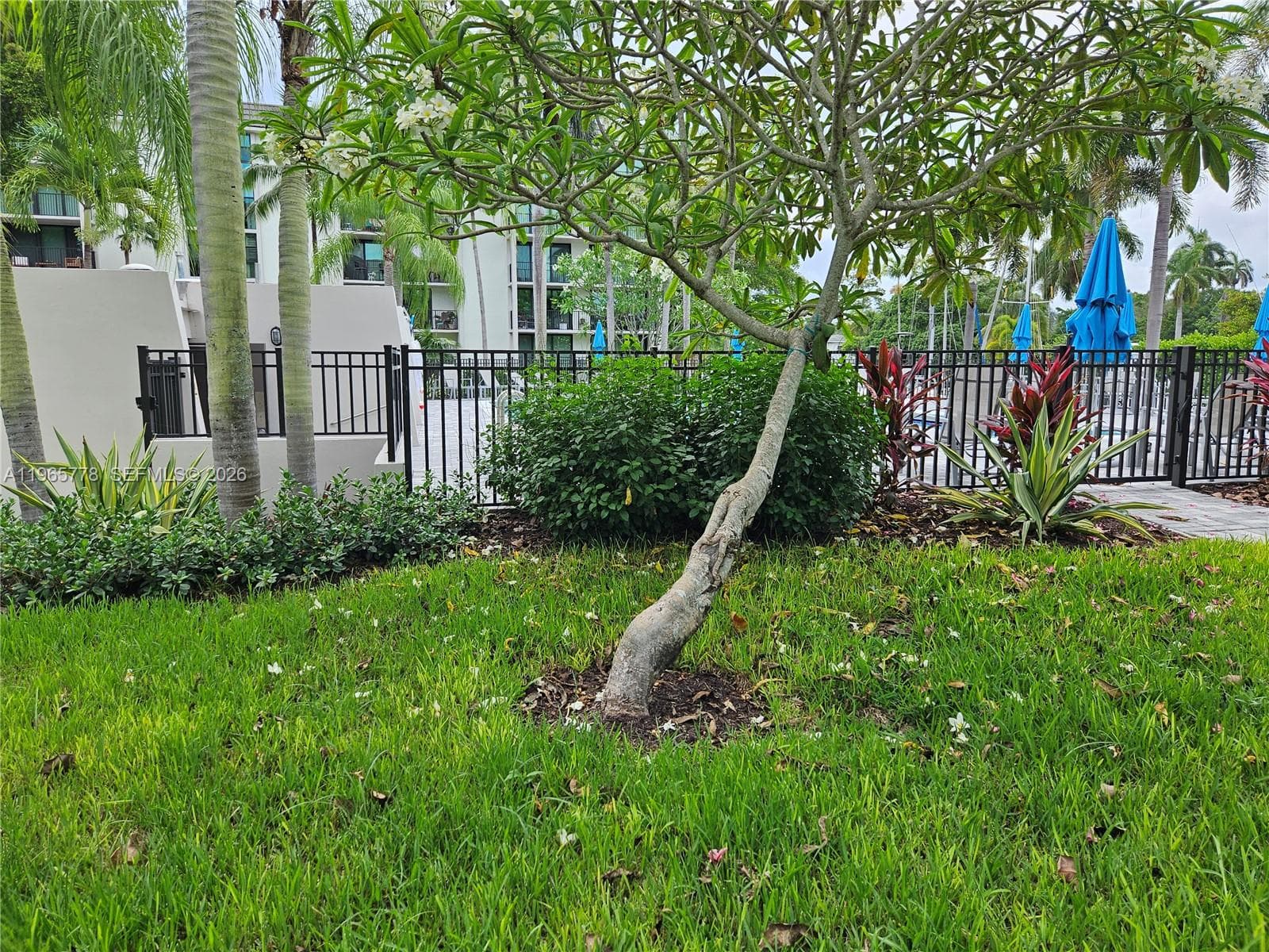 River Reach · #418 in Fort Lauderdale - Photo 67