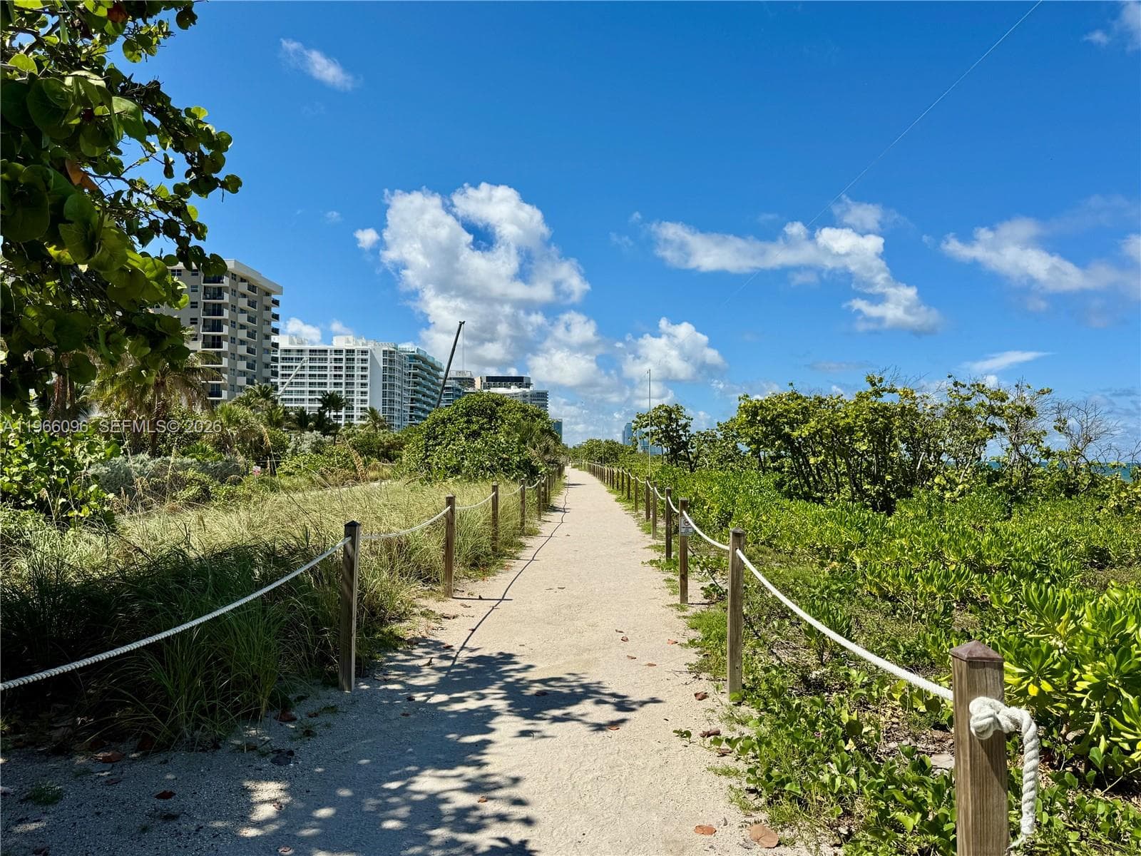 Walking Jogging path