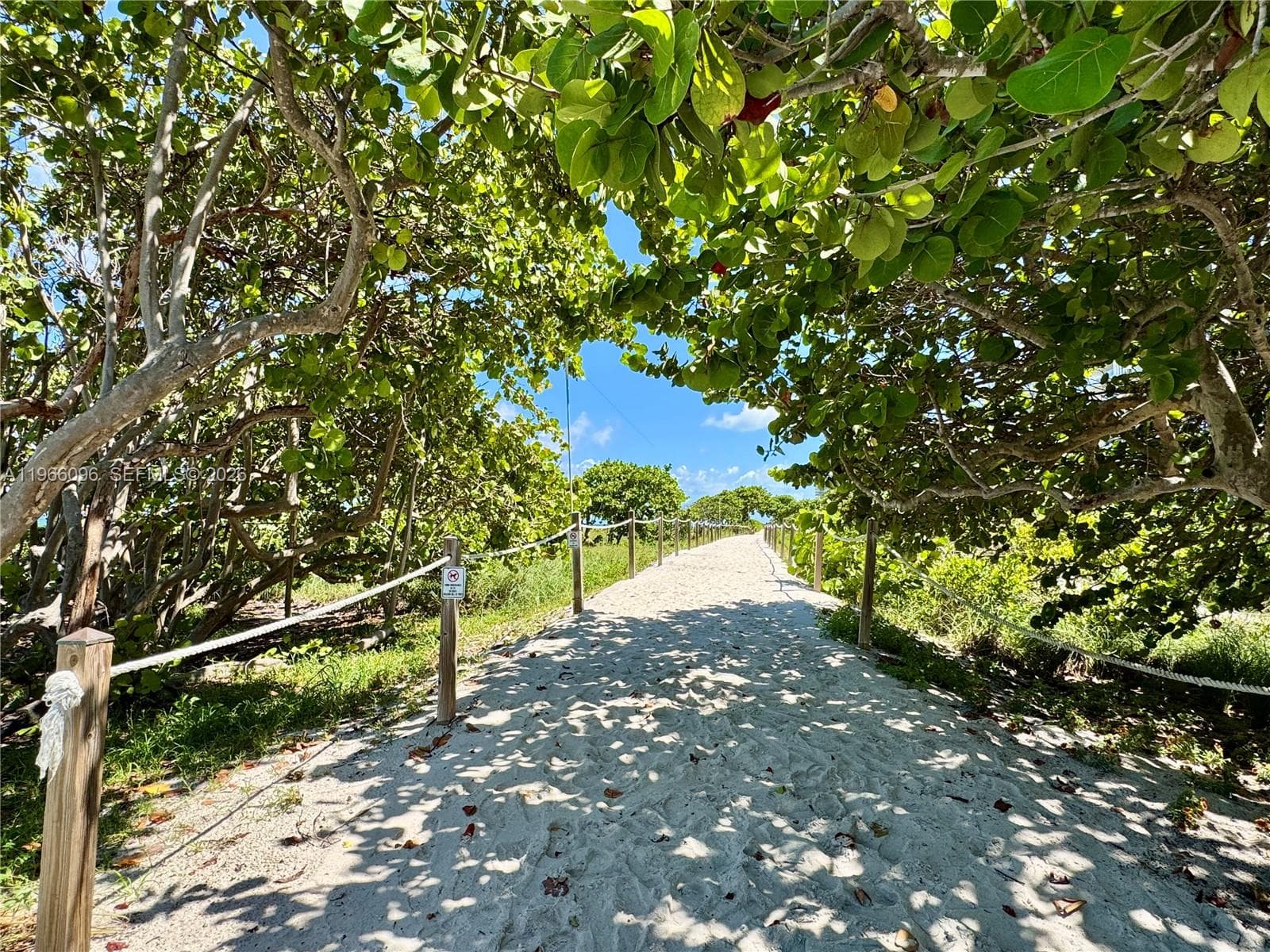 Jogging and walk Path