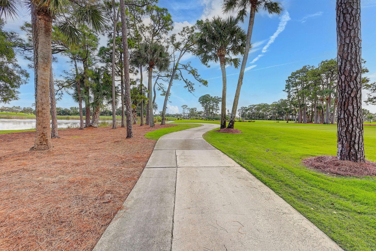 63-web-or-mls-5P1A5945