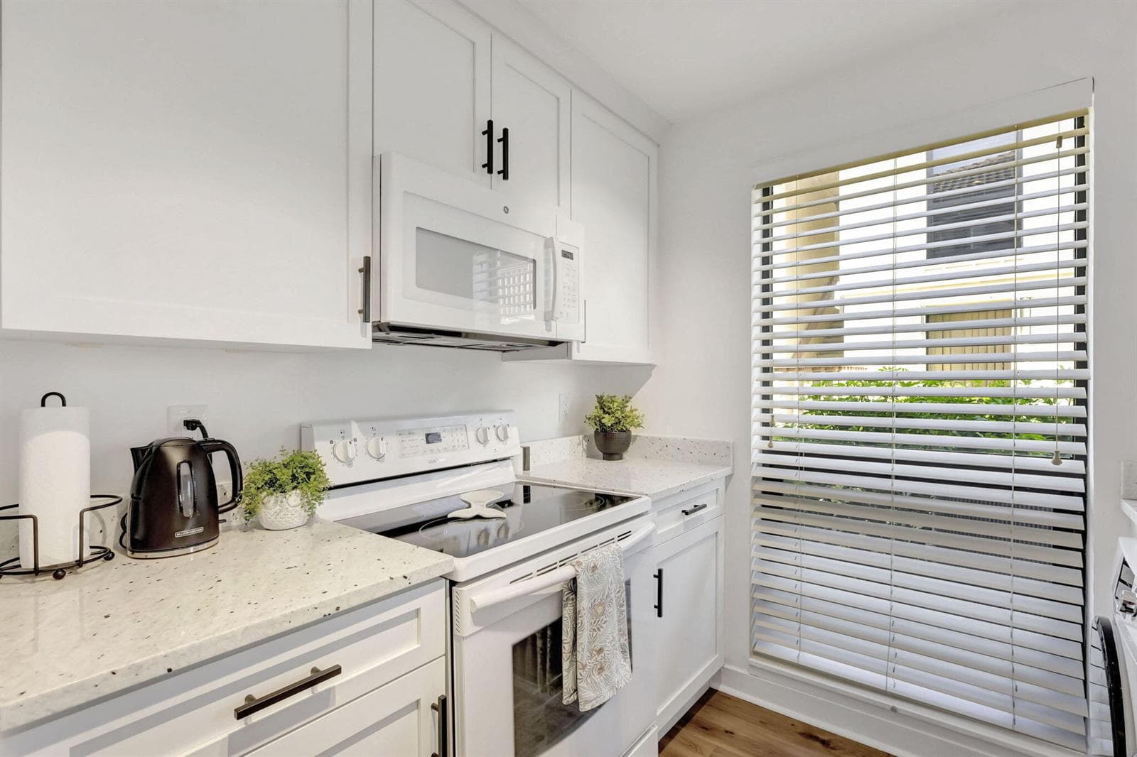 21-web-or-mls-5P1A5656