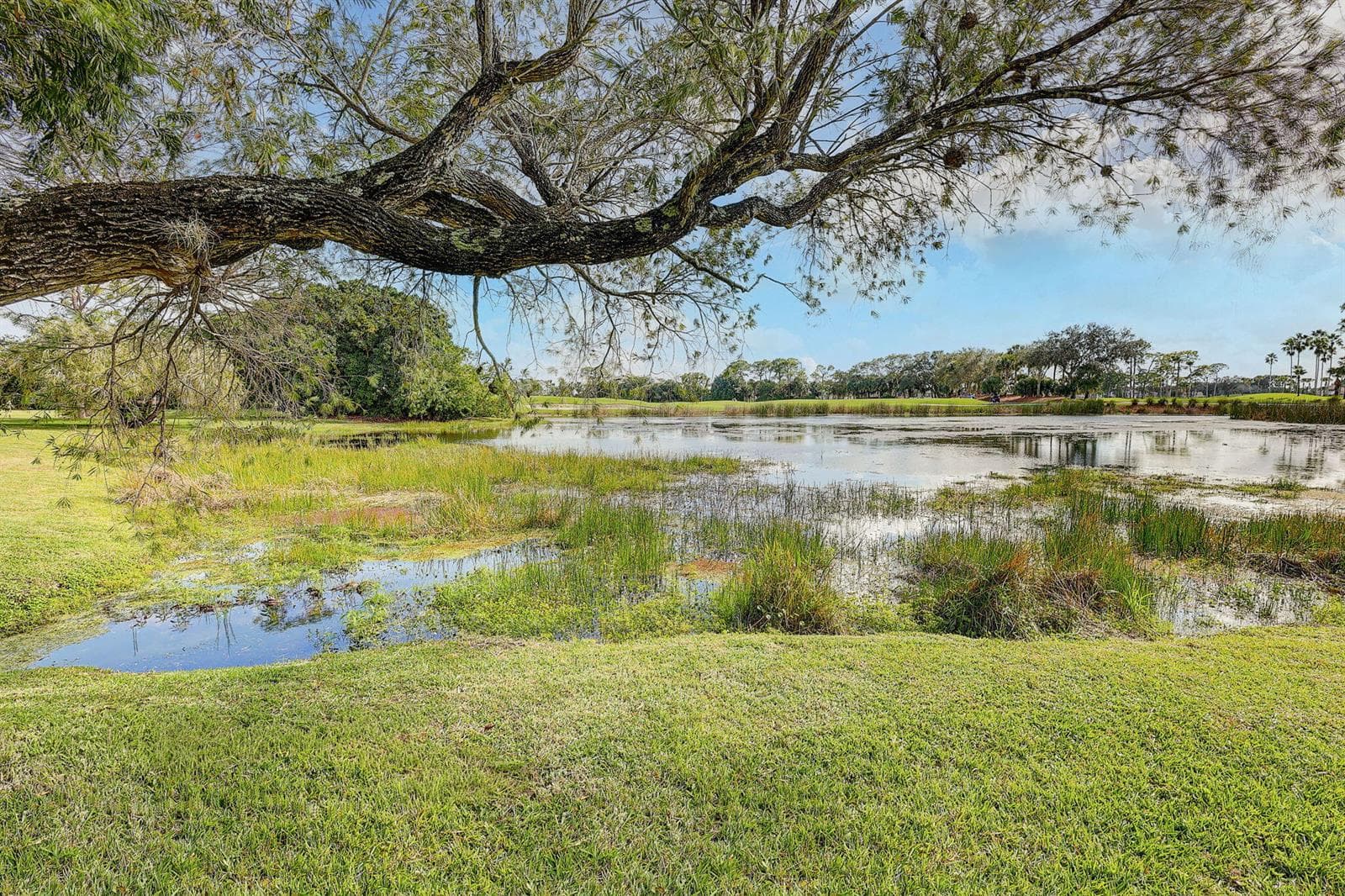 Pond Views