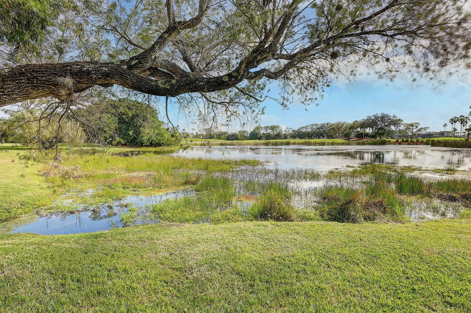 57-web-or-mls-5P1A5915