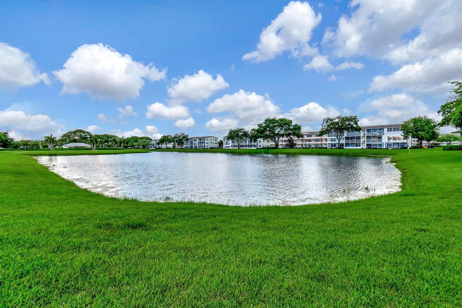 Serene Waterfront View
