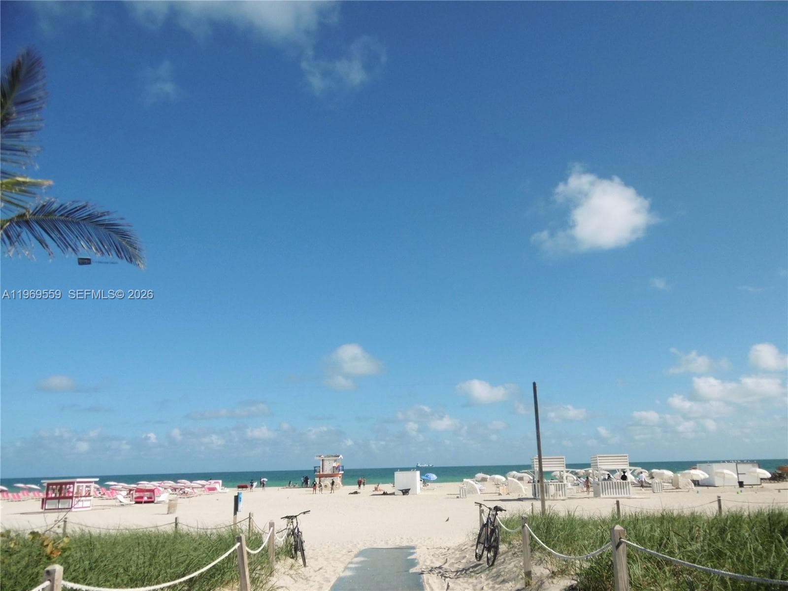 Walk To The Beach