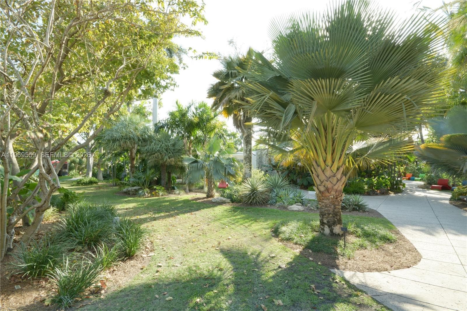 Botanical Garden Right Across The Street