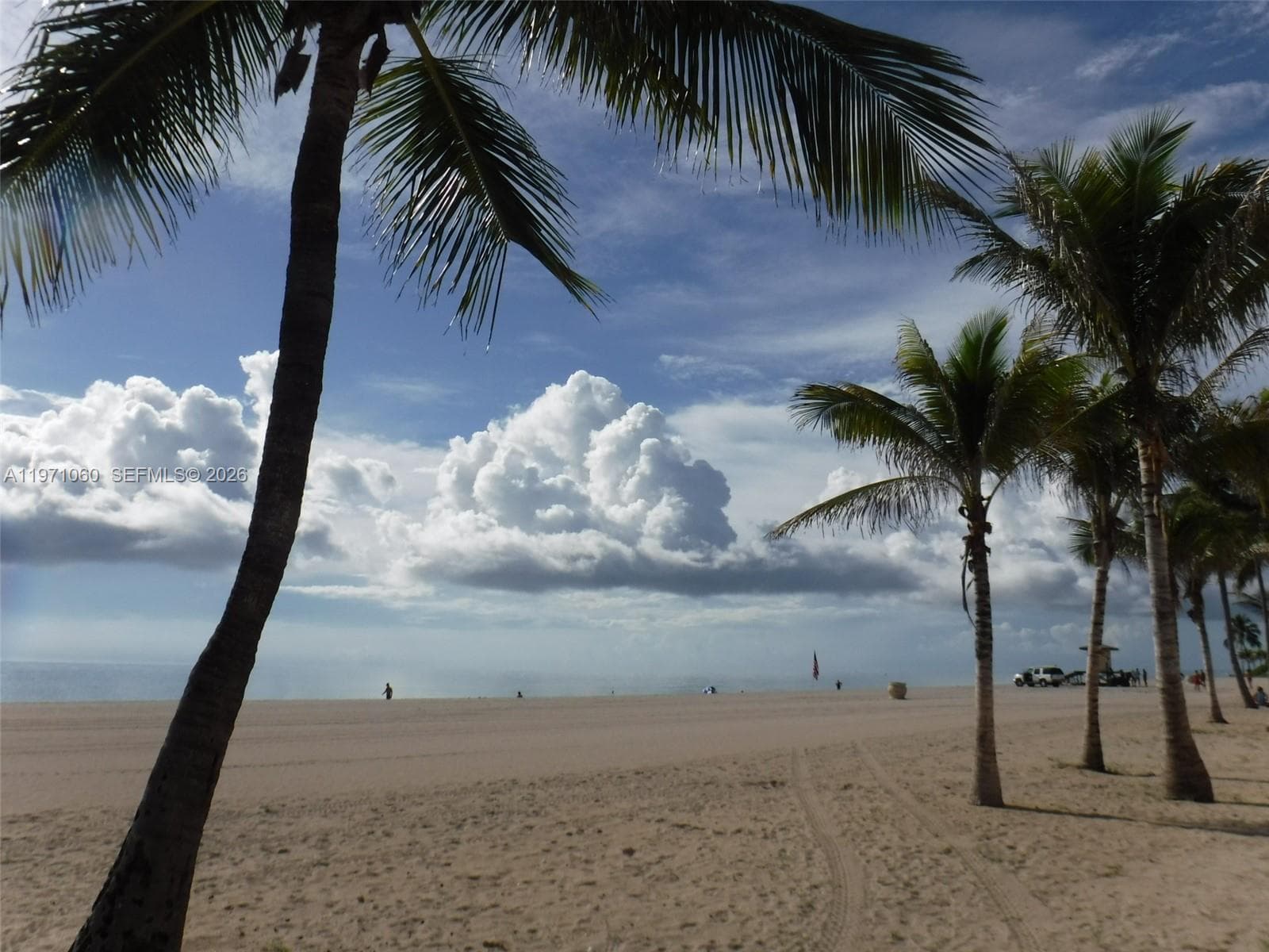 Hollywood beach