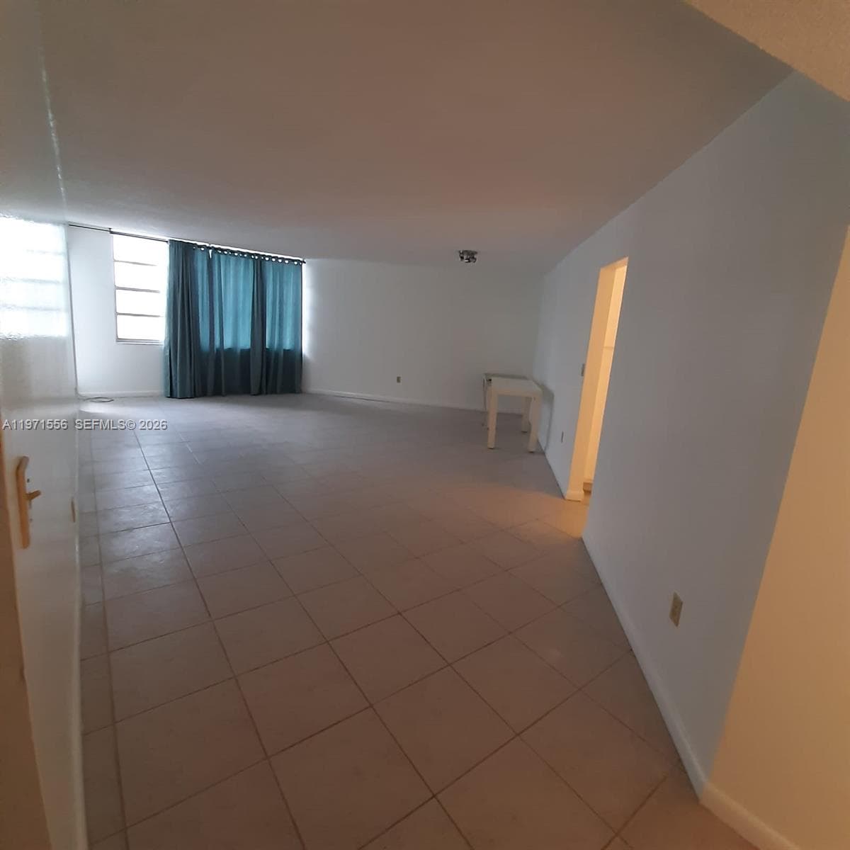 HUGE BRIGTH LIVING DINNING VIEW FROM ENTRANCE