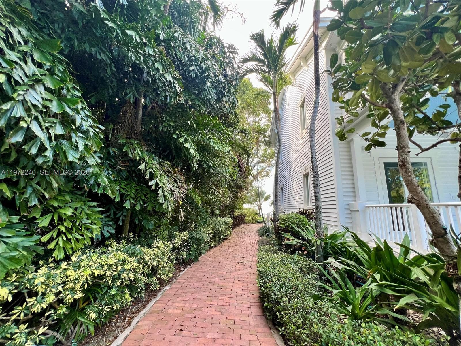 20 Avacado St photo 13