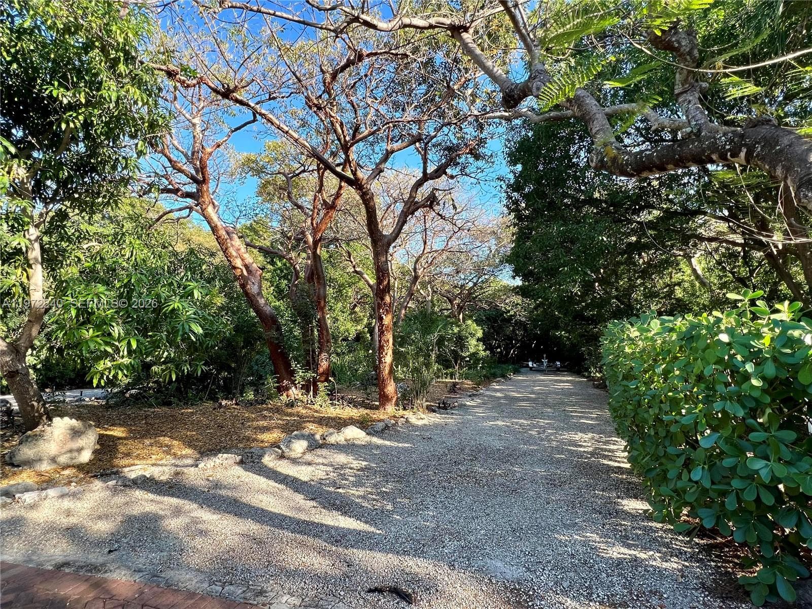 20 Avacado St photo 11
