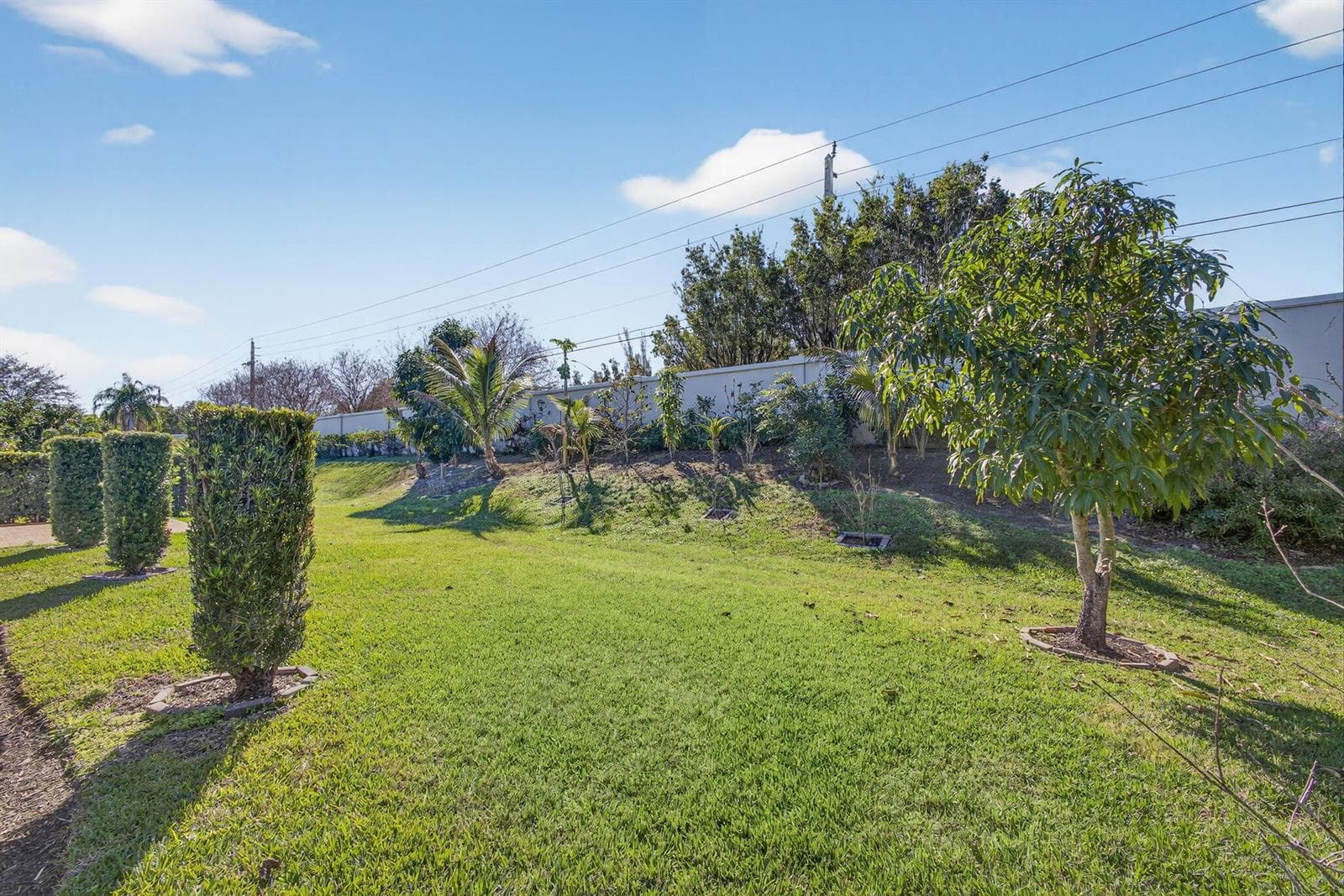 63-web-or-mls-5D1A2387