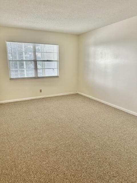 Master Bedroom w/new carpet