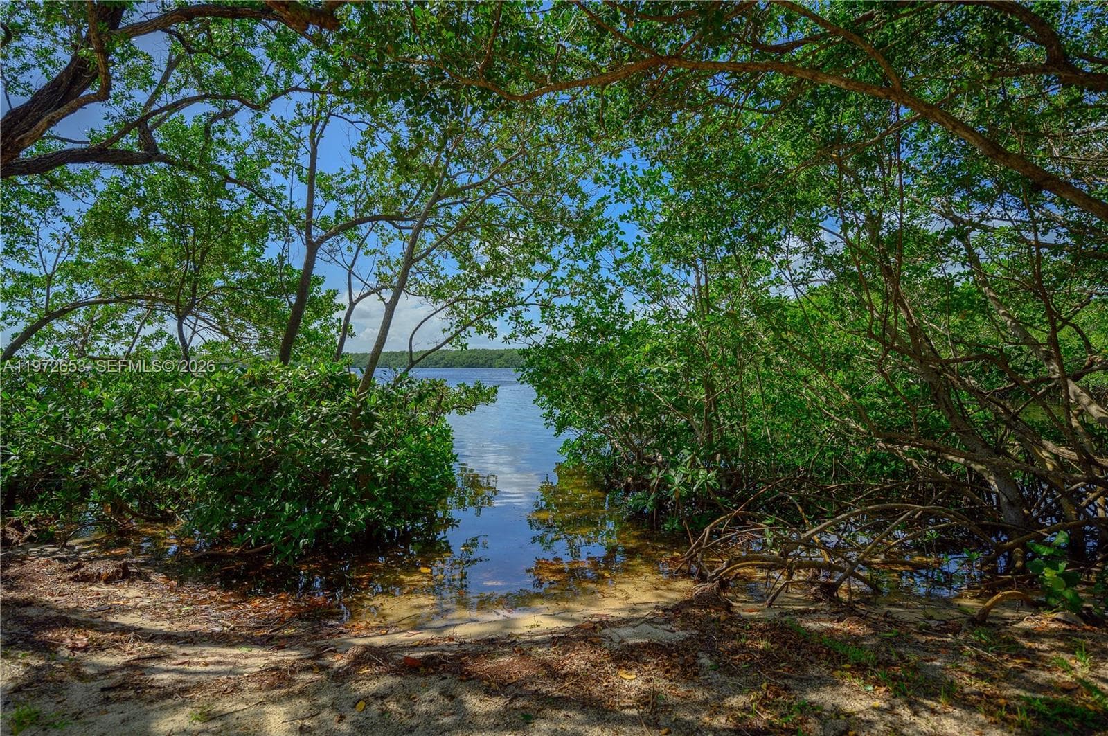 5990 Paradise Point Dr photo 74