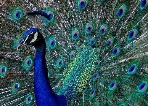 330 NE 86 St photo 13