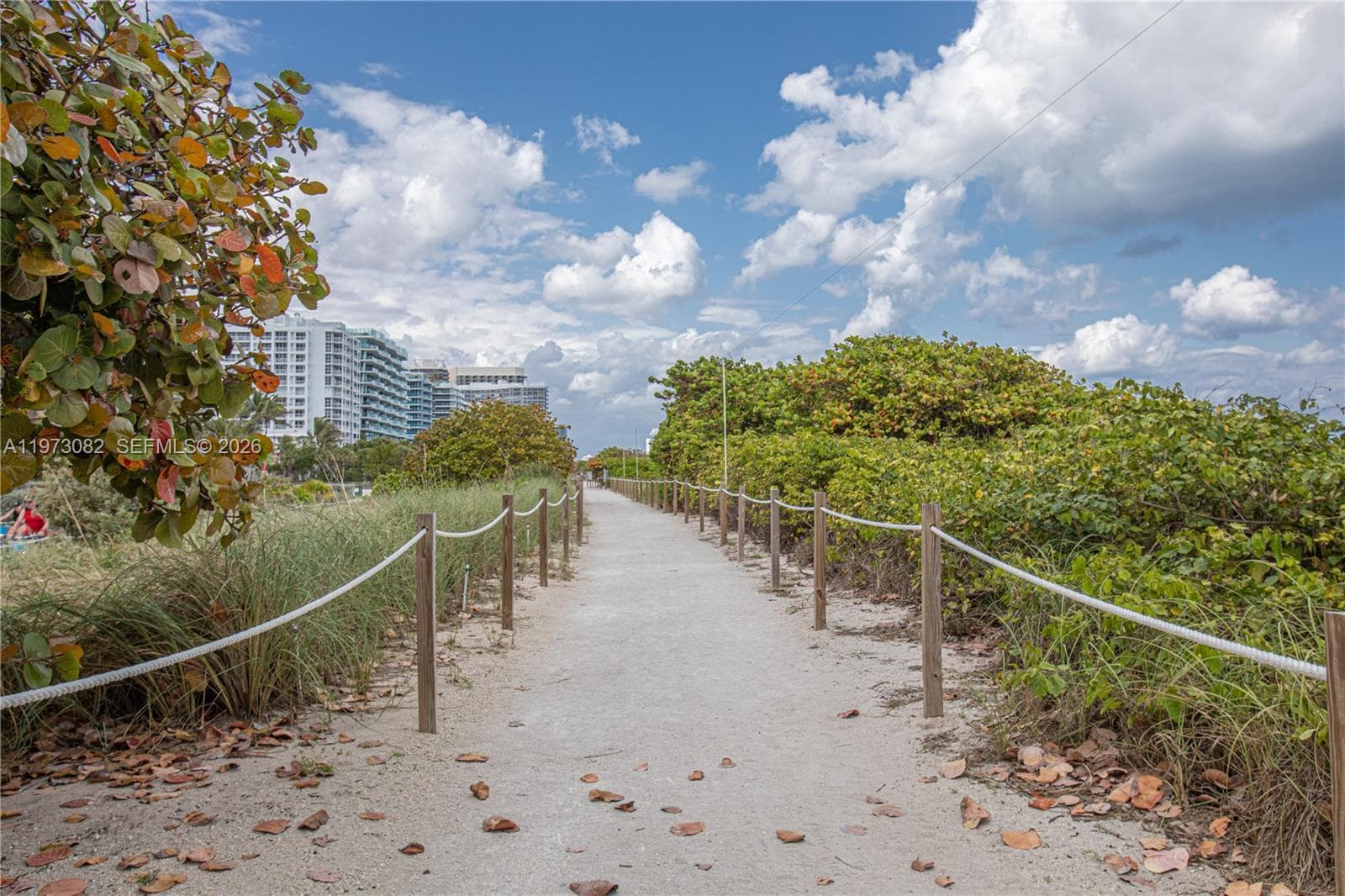 THE WAVERLY AT SURFSIDE B · #312 in Surfside - Photo 10