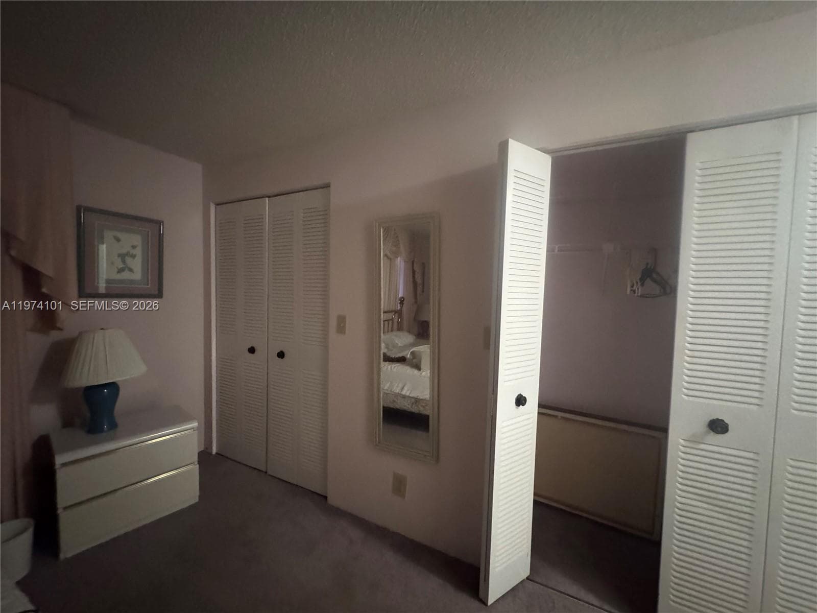 Primary Bedroom Closets