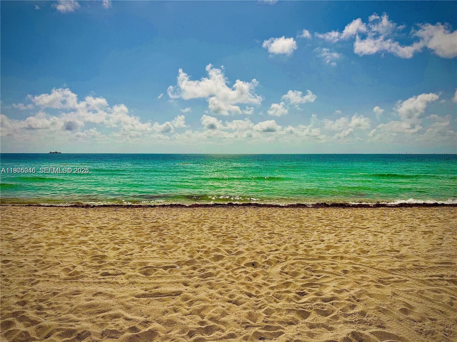 Golden Dreams Condo · #18 in Miami Beach - Photo 9