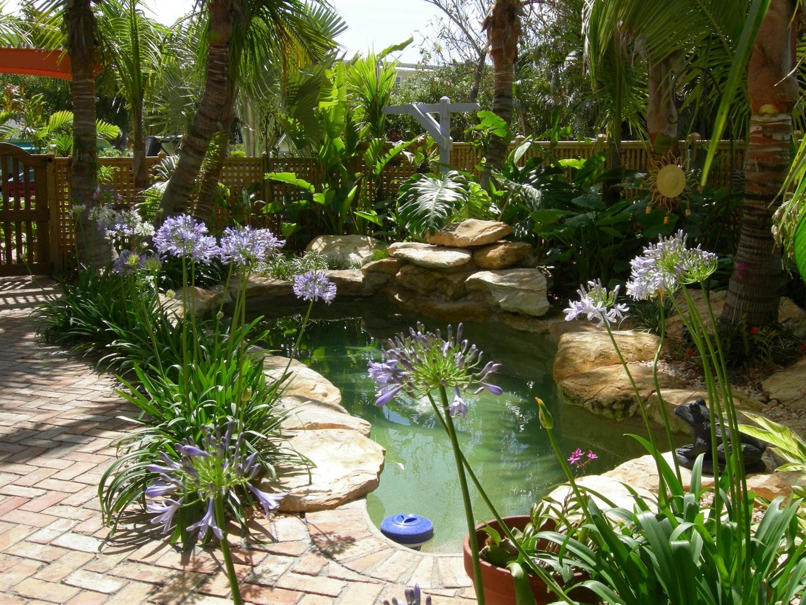 Welcoming Pool for Relaxation