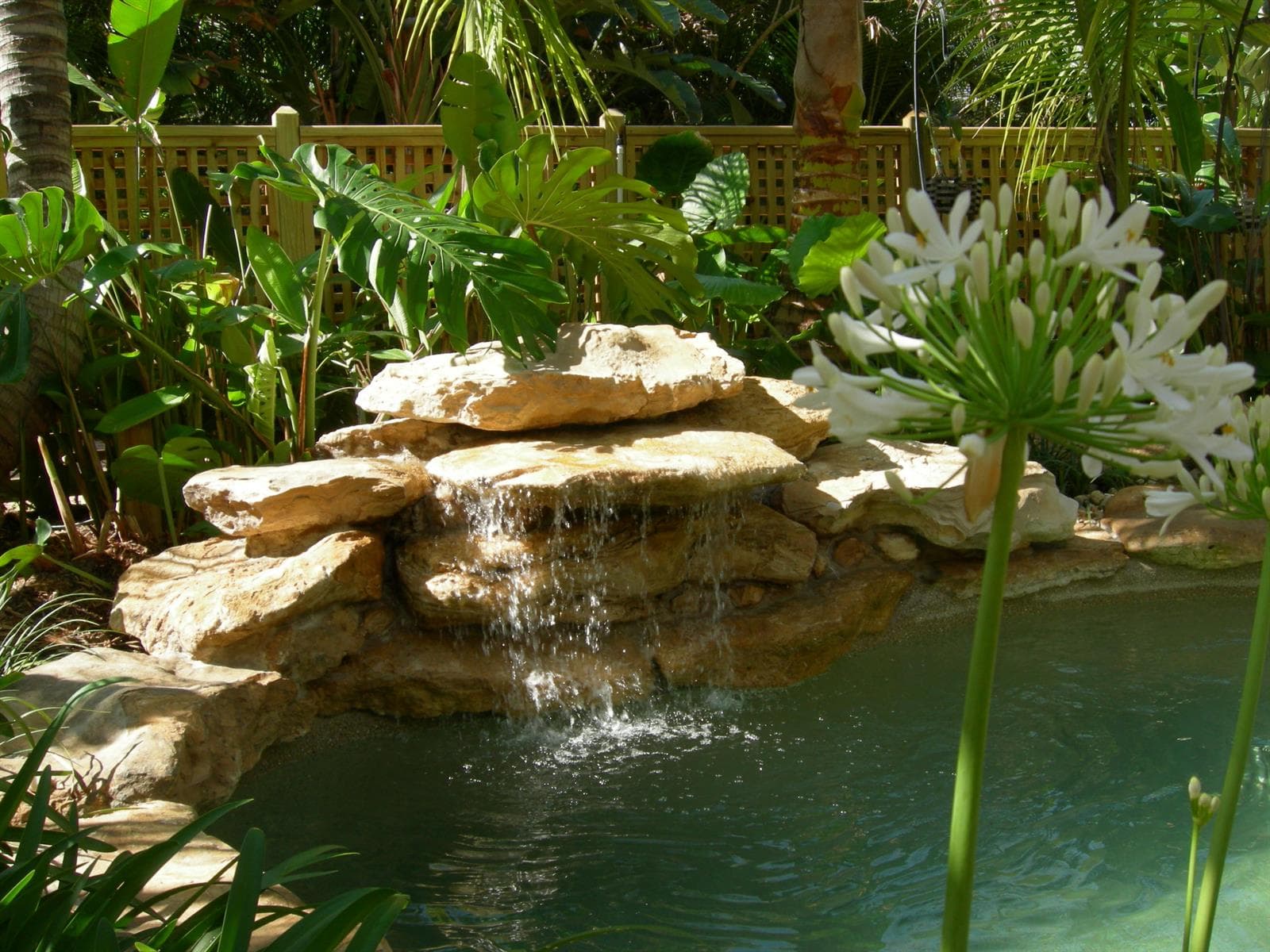 pool