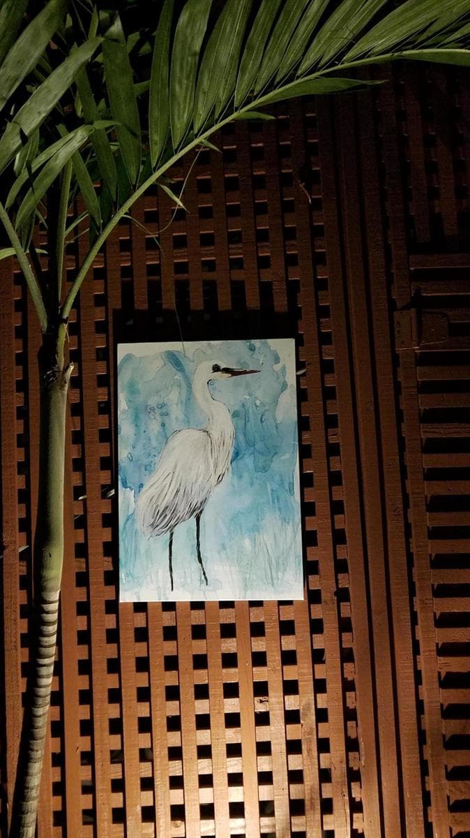 Art along walkway