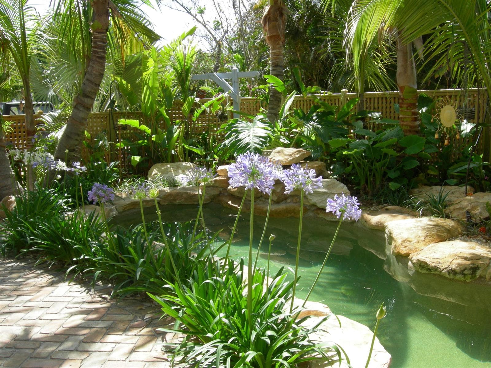 pool