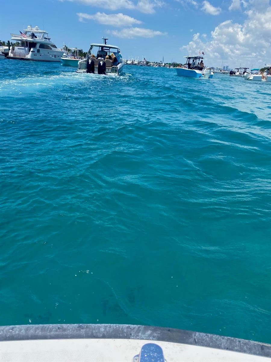 Peanut Island View