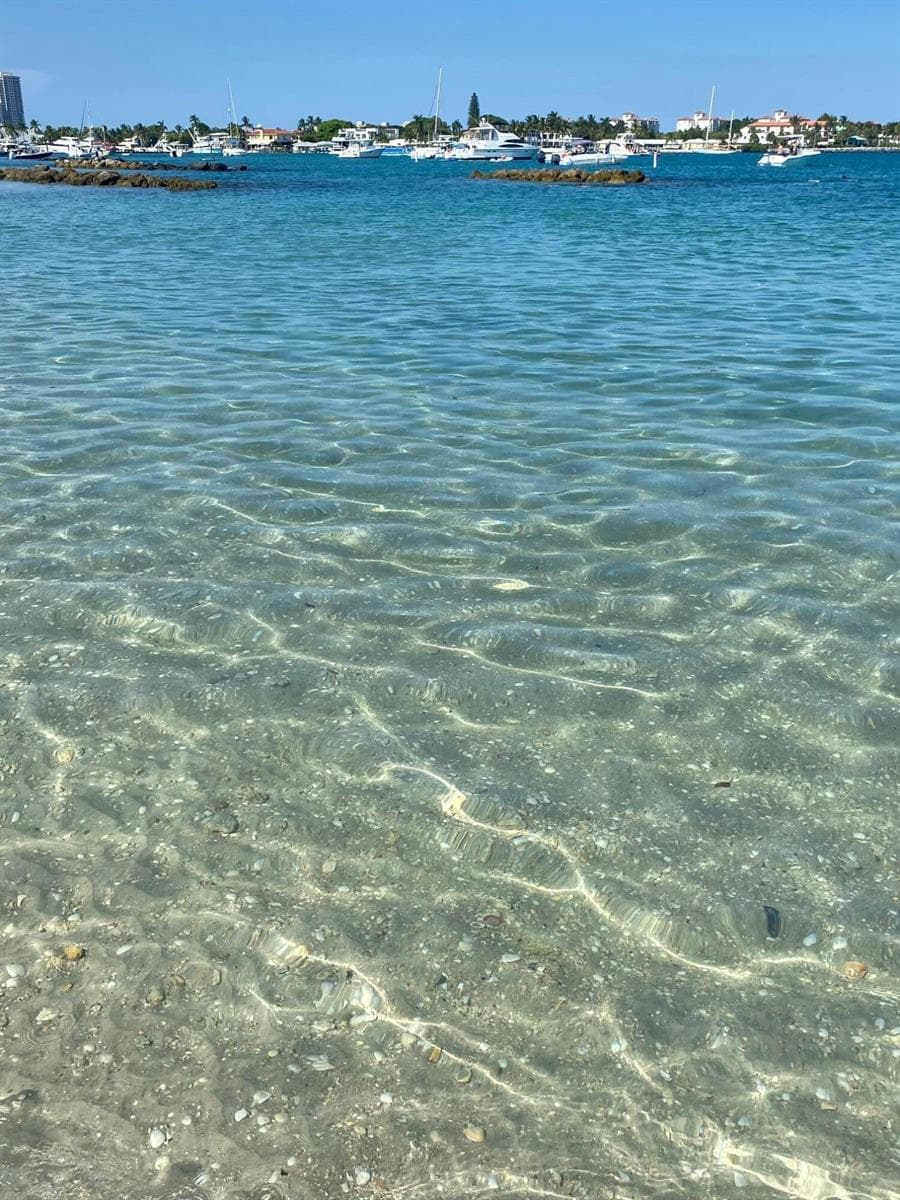 Peanut Island View