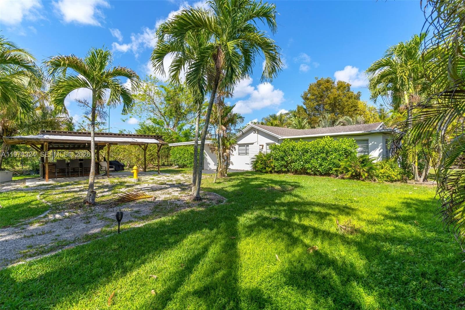 Main Home - Back Yard