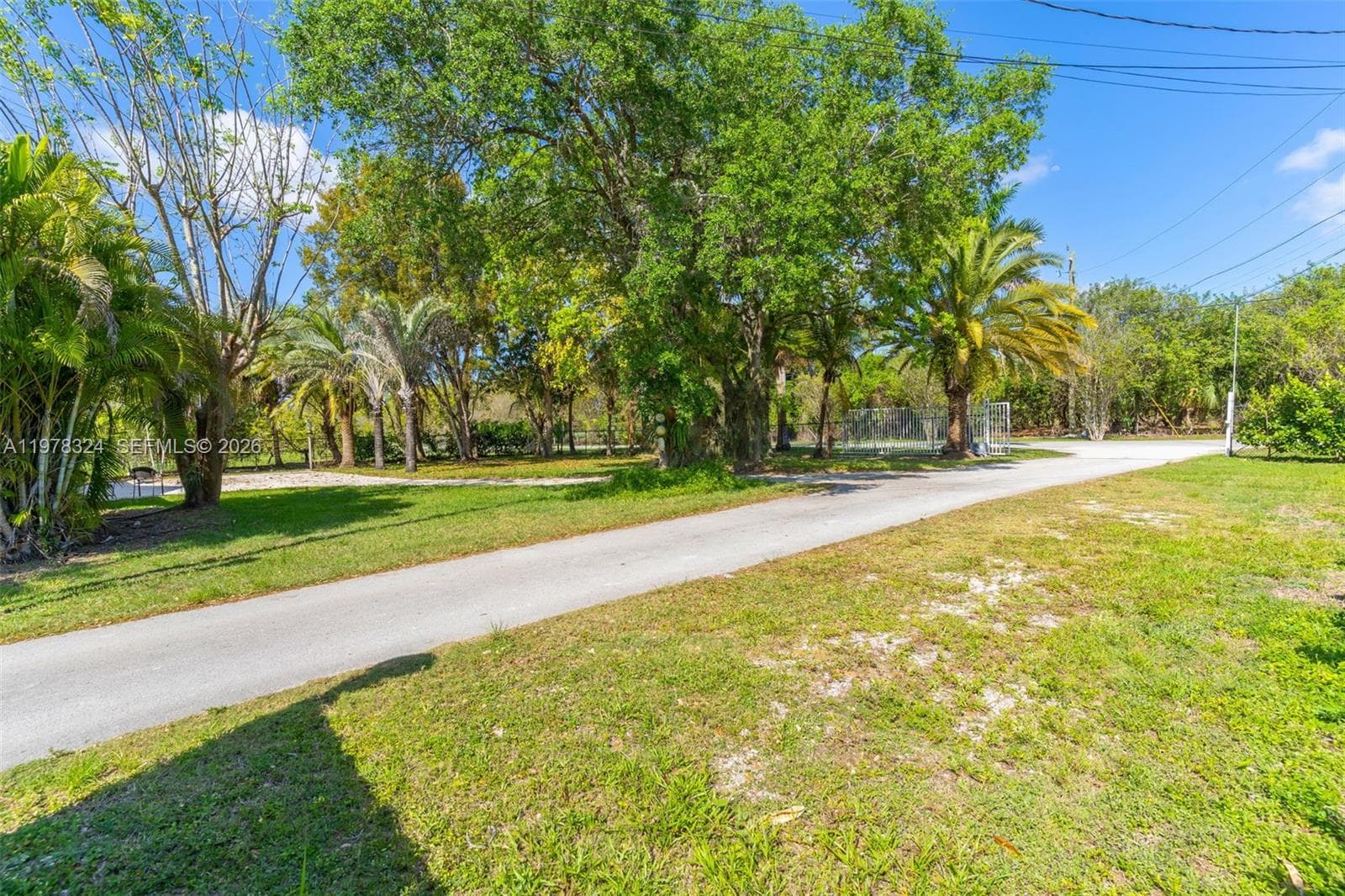 Driveway Exit