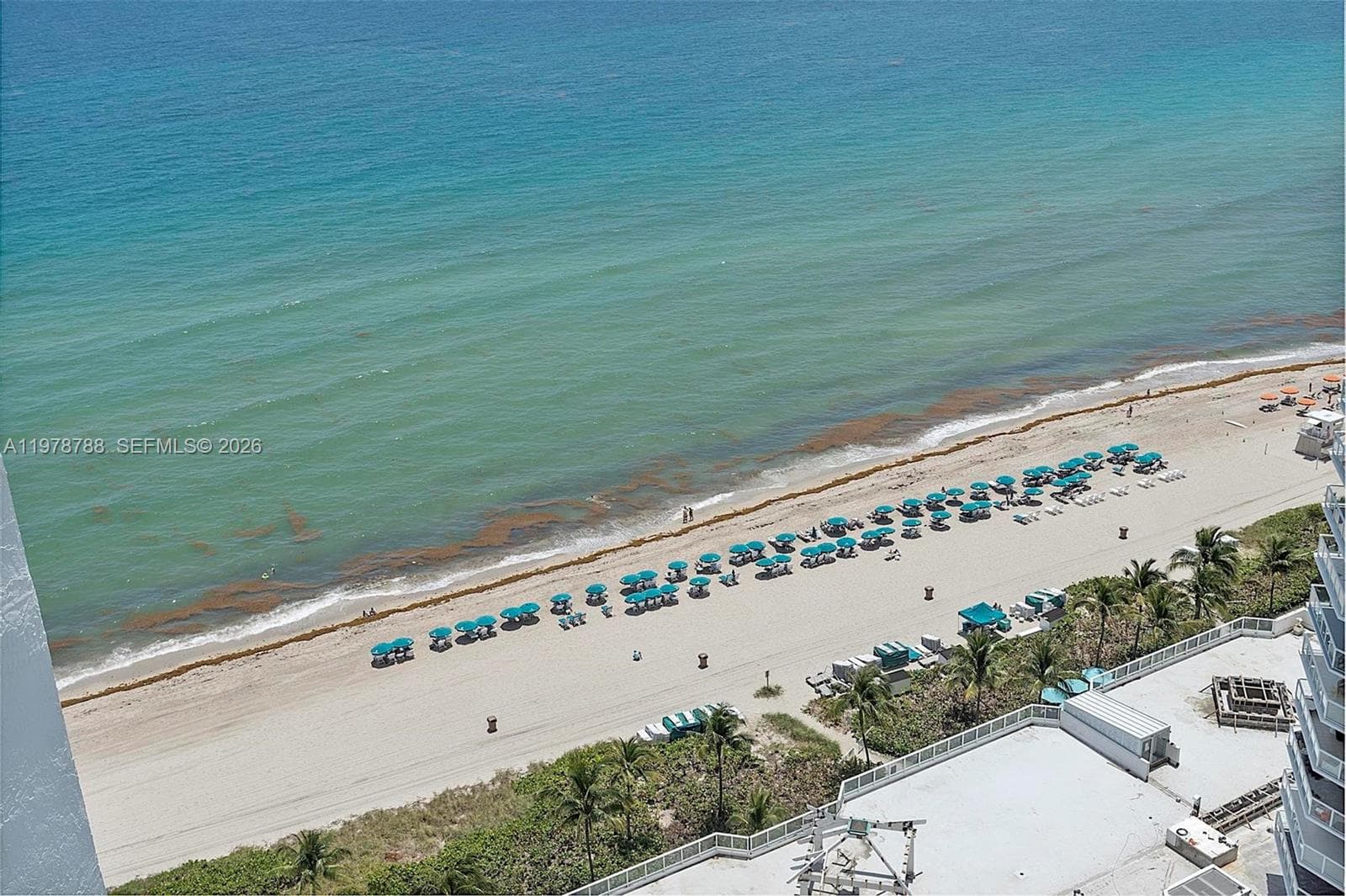 Oceania II · #2328 in Sunny Isles Beach - Photo 3