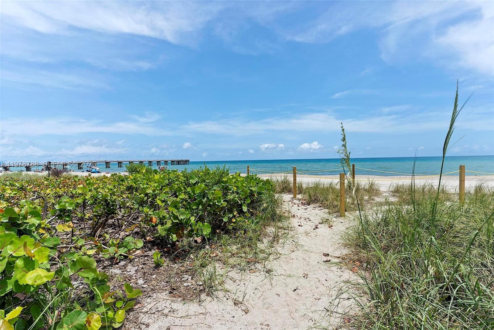 Oceania II · #2328 in Sunny Isles Beach - Photo 66